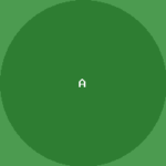 Bio-Reetha Avatar ahmed